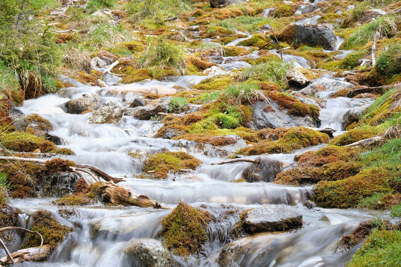 How to Paint a Rushing Stream in Acrylic